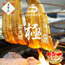 【土用の丑早割!!】【最大10%OFFクーポン】うなぎ 白焼き【特大(160〜170g)】2尾〜5尾 国産 三河一色産 炭火手焼き 白焼 タレ付 お取り寄せ 土...