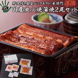 うなぎ ての字 うなぎ うなぎ 鰻 国産 プレゼント ギフト 蒲焼 赤羽門（あかばねもん） 200g（100g×2尾） ての字 手焼き