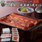 うなぎ 鰻 国産 プレゼント ギフト 蒲焼 大門（だいもん） 500g（100g×5尾） ての字 送料無料 手焼き