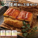 うなぎ ての字 うなぎ うなぎ 鰻 国産 プレゼント ギフト 蒲焼 おこわ 鰻めし 100g×3個セット ての字