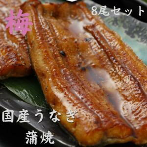≪送料無料≫≪8食セット≫【梅】うなぎ処古賀 うなぎ蒲焼き　国産鰻　父の日のプレゼント【浦和うなぎ】【江戸前】【備長炭焼き】【タレ付】【さんしょう付】土用の丑の日 誕生日プレゼント[鰻]のサムネイル