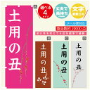 のぼり旗 土用の丑 のぼり 寸法60×180 丈夫で長持ち【四辺標準縫製】のぼり旗 送料無料【3980円以上で】文字変更可