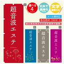 のぼり旗 超音波エステ エステ 寸法60×180 丈夫で長持ち【四辺標準縫製】のぼり旗 送料無料【3980円以上で】のぼり旗 オリジナル／文字変更可