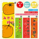のぼり旗 みかん狩り のぼり 寸法60×180 丈夫で長持ち【四辺標準縫製】のぼり旗 送料無料【3980円以上で】のぼり旗 オリジナル/文字変更可/のぼり旗 みかん狩りのぼり(3)