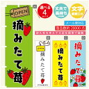 のぼり旗 摘みたて苺 いちご のぼり 寸法60×180 丈夫で長持ち【四辺標準縫製】のぼり旗 送料無料【3980円以上で】のぼり旗 オリジナル/文字変更可/のぼり旗 摘みたて苺 いちご のぼり(3)