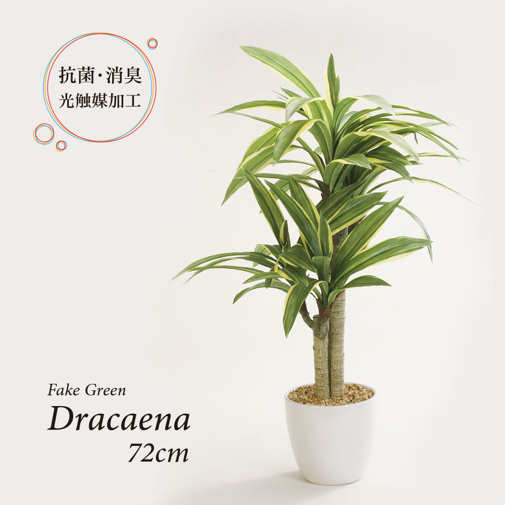 乐天商城 - 人工観葉植物 フェイクグリーン 観葉植物 造花 ドラセナ ツリー 陶器鉢付 光触媒 大型 フェイクグリーン おしゃれ お祝い 父の日 72cm インテリア
