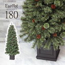 クリスマスツリー おしゃれ 北欧 180cm 高級 ドイツトウヒツリー オーナメント 飾り セット なし ツリー ヌードツリー スリム ornament Xmas tree Eurpot インテリアの商品画像