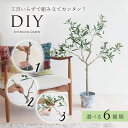 観葉植物 フェイクグリーン 人工観葉植物 メープル オリーブ パキラ ベンジャミン トリネコ エバーフレッシュ 店舗装飾 インテリア