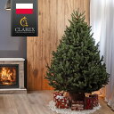 ヨーロッパメーカー「CLAREX」社製のクリスマスツリー 北欧 おしゃれ 180cm 220cm 250cm ポーランド ヌードツリー オーナメント 飾り なし...