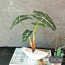 アマゾニカポット 観葉植物 フェイクグリーン 人工観葉植物 ポット アマゾニカ 造花 おしゃれ ツリー カフェ 小物 卓上 店舗装飾 鉢付 小型 フェイク グリ...