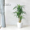 人工観葉植物 父の日 屋外 フェイクグリーン リアル 観葉植物 父の日 屋外 造花 ユッカ ツリー 鉢付 おしゃれ 60cm