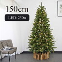 【只今店内全品P5倍】250球LEDライト付き クリスマスツリー 150cm 樅 オーナメント ツリー おしゃれ ヌードツリー 北欧風 まるで本物 スリム 組み立て5分 インテリア