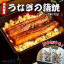 【蒲焼セット】蒲焼 うなぎ 90g タレ 肝 ウナギ 鰻 国産 丑の日 送料無料 浜名湖産 浜名湖 冷凍 60代 70代 美容 お歳暮 お中元 父の日 母の日敬...