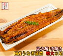 国内産うなぎ蒲焼 特大3尾セット（約170g×3尾）　一本一本炭火で手焼きしています。