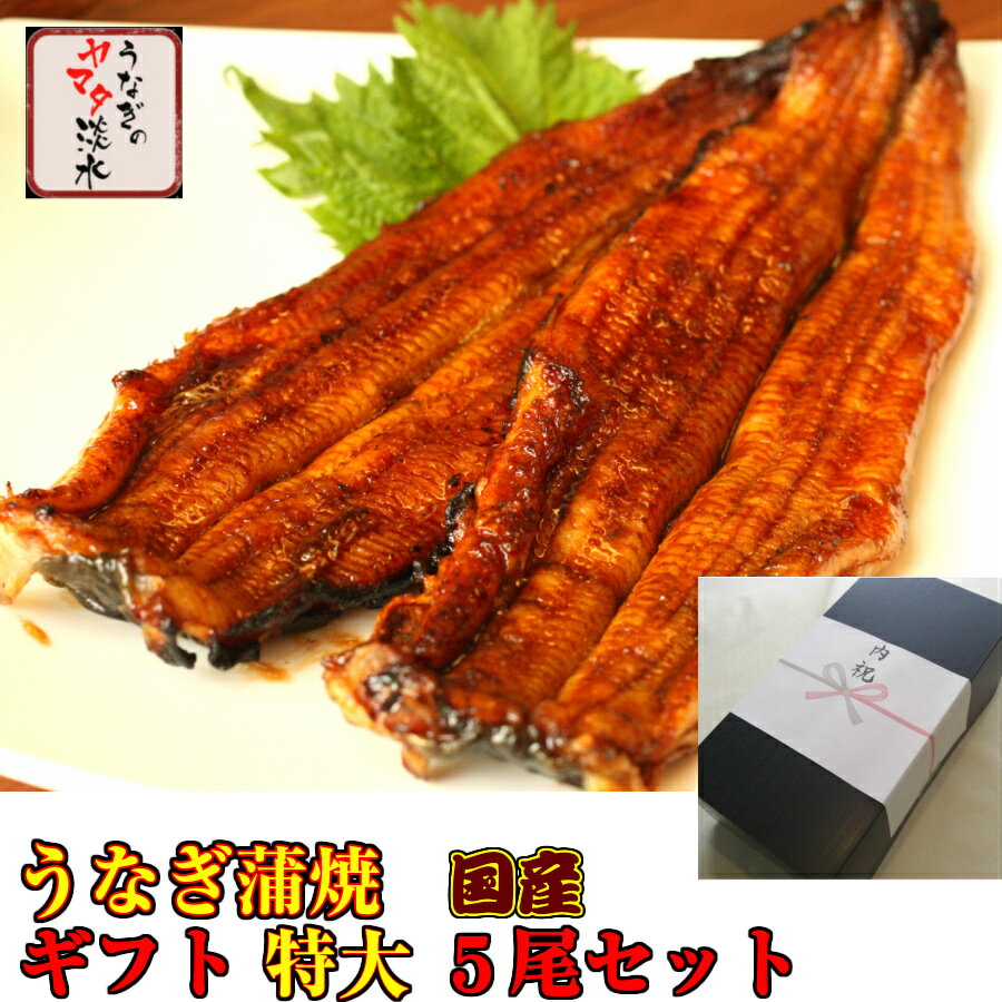 【ギフト用 国産うなぎ蒲焼 特大5尾セット】165g~190g×5尾【お中元 母の日 お誕生日に】ギフトBOXで発送。【送料無料!!】一本一本炭火で手焼きしてます!【うなぎ 国内産 蒲焼 父の日 お取り寄せ ウナギ 母の日 鰻 お取り寄せ 名古屋めし 美味しい 内祝】