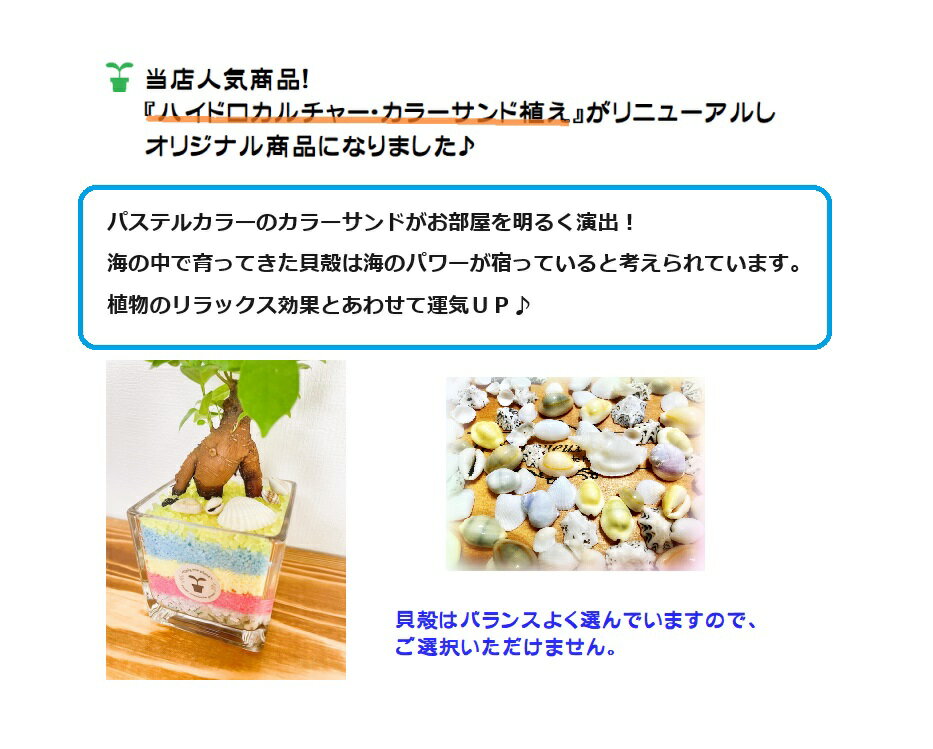 �ڹ�˼ľ�����۸�����! ��������̵���� �ϥ��ɥ�������㡼 �ߥ˴��� ���顼����� ���� CS�ѥ��ƥ�2���� ���տ�ʪ ���� ��Ƥ䤹�� ���襤�� ������ޥ� �ѥ��� �����ե�� �ץ쥼��� ���ե� £��ʪ �ơ��֥� ��ʪ��ꥭ�å��� �ǥ��� �ѥ����� ������ ����� �����