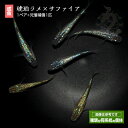 メダカ めだか 琥珀ラメ×サファイア 1ペア ペット 観賞魚 生体 品種改良メダカ アクアリウム 成魚 みゆき 幹之 ラメ きれい 琥珀 青(4)