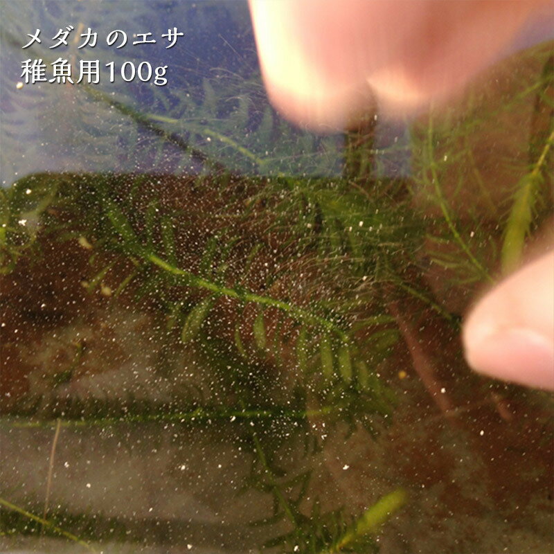 ����� ����� ���� �յ��� 100����� ������α� 100g �ڥå� �� �� ���� �յ� �Ѿ޵� ������Υ��� �⥿��ѥ� ʴ �����Ĥ� ���� ������Τ��� �ʼ���ɥ���� ������α� �������ꥦ�� ʴ���� �ߥåɥʥ��� �졼��