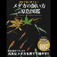 メダカ めだか 【うなとろステッカー付】屋外で強く育てる！メダカの飼い方&原色図鑑 本 ペット 観賞魚 品種改良メダカ アクアリウム 送料込み
