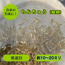 らんちゅう 稚魚 1匹 ランチュウ ペット 魚 観賞魚 生体 金魚 きんぎょ キンギョ 黒 ブラック セット 販売 ネット 淡水魚 黒い 淡水 青水 生成 観賞用 アクアリウム