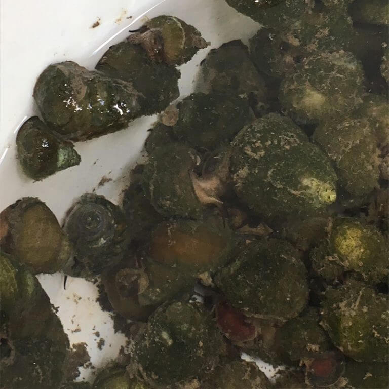 �ҥ᥿�˥� 5�� ���˥� ���ܻ� �� ���� ���� �Ҥ᤿�ˤ� ���å� ���� ������� ���ݽ� �����ݽ� ø�� ���󥯥ᥤ�� ���� ������� ������ ���� ���� ������� �ݼ�� ����� ����� �������ꥦ�� �����к� ������ �������