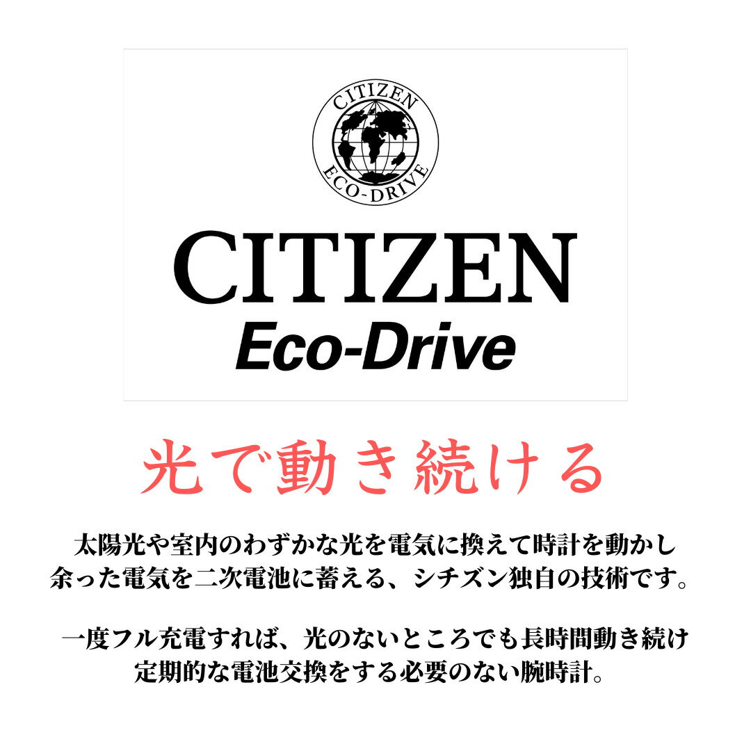 ［日本未発売モデル］シチズン エコドライブ シチズン 腕時計 ウォッチ メンズ 逆輸入 海外モデル ソーラー時計 CITIZEN PCAT Perpetual Alarm ECO DRIVE CB5886-58H 海外取寄せ 送料無料
