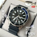 m{nmAWA}[Pbg胂fnCITIZEN V`Y v}X^[ Fugu I[g}eBbN _Co[Y 44mm 200mh NY0111-11E 