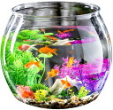 金魚鉢 水槽 プラスチック アクリル水槽 プラスチック水槽 透明 メダカ 鉢 苔 アクアリウム 透明