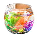 ateena 金魚鉢 金魚 水槽 メダカ 水槽 鉢 容器 飼育 アクリル プラスチック アクアリウム 大型水槽 透明 C