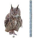 【本日限定!最大5%OFF対象】 geneX 鳥避け 鳩よけ カラスよけ 鳥よけグッズ 烏除け 鳩よけグッズ 防鳥 グッズ 鳥避けグッズ 鳥よけ 害鳥対策 ベラ...