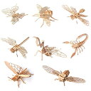 【お買い物マラソン限定!最大5%OFF対象】 Rimikuru 立体 昆虫 木製 パズル 3D 立体パズル セット 無色 工作 DIY 子供 おもちゃ 知育玩具 模型 虫