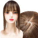 部分ウィッグ ヘアピース ポイントウィッグ 女性 レディース 人毛100% かつら ウィッグ 分け目自由自在 トップピース トップカバー トップウィッグ ストレ...
