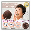 白髪隠し 部分ウィッグ 頭頂部 薄毛 ポイントウィッグ |初心者のためのマイファーストウィッグ|自然に見える人毛100%|簡単装着&軽量|シニア女性向け 母の日...