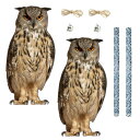 【本日限定!最大5%OFF対象】 ateena 鳥よけ 鳥除け グッズ 鳩よけ 鳩除け カラスよけ カラス除け 対策グッズ ベランダ マンション 吊り下げ式