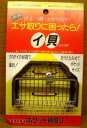 ポケットイ貝取り