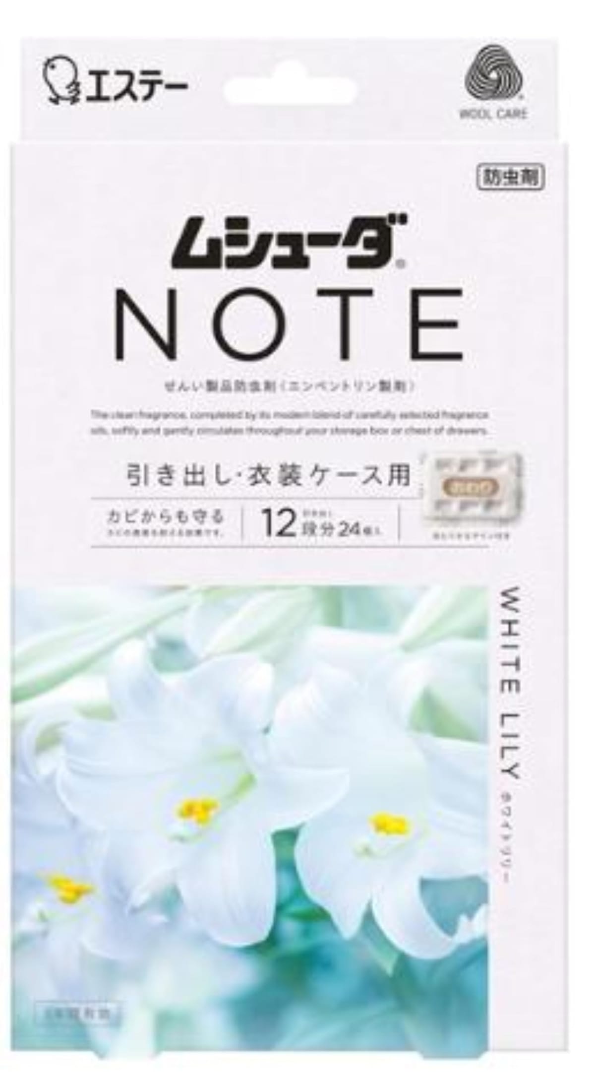 ꡪ5%OFFоݡ ॷ塼NOTE 1ǯͭ Ф24