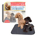 【本日限定!最大5%OFF対象】 洗えるペットシーツ (2枚セット)【トイプー2匹の愛犬家監修xトイトレやトイレを外す子のサブシーツ専用】小型犬専用x老犬のおね...