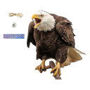 【本日限定!最大5%OFF対象】 Alpha Depot 鳥よけグッズ 鳥除け 害鳥対策 鳥害防止 鳩よけ 鳩除け カラスよけ カラス除け ベランダ マンション 吊り下げ型