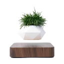 【お買い物マラソン限定!最大5%OFF対象】 FGY 宙に浮く盆栽 プランター 観葉植物 磁気浮上 鉢植え 装飾 ウッド 木目 浮く インテリア