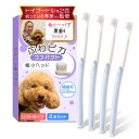 【トイプー2匹の愛犬家監修x極細で歯茎を傷つけないソフトタイプ】(小型犬専用)わんこの歯ブラシ 「ふわピカコンパクト」4本セットx奥歯が磨きやすい極小ヘッド