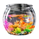 Alpha Depot 金魚鉢 プラスチック 水槽 メダカ 飼育 プラスチック アクアリウム
