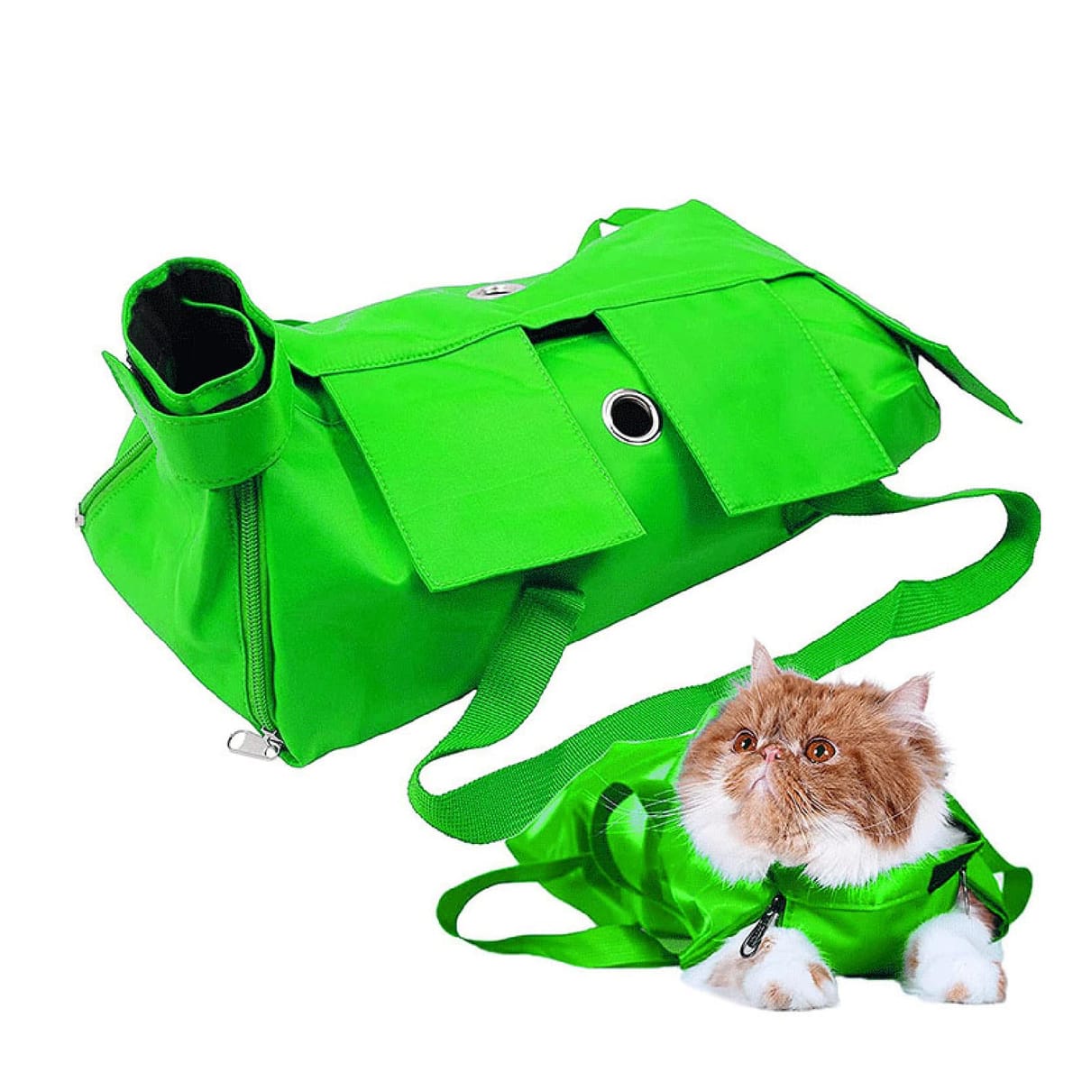 ڤ㤤ʪޥ饽ꡪ5%OFFоݡ CAWKAY ǭ Ĥ åȥ롼ߥ󥰥Хå ǭ PET ڥåȥ꡼...