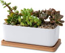 【お買い物マラソン限定!最大5%OFF対象】 Crystal craft プランター セラミック おしゃれ 植木鉢 多肉植物 寄せ植え サボテン 陶器 長方形 ...