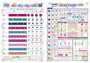 【本日限定!最大5%OFF対象】 LearnEASY 小学生 1枚でわかる 算数ポスター 2枚セット 分数の計算 小数 歩合 百分率 英語併記 公式 一覧 中学...