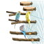 SALUDABLE 鳥 止まり木 止まり台 パーチ 自然木 インコ オウム 爪とぎ 6点セット