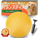 【本日限定!最大5%OFF対象】 【楽天ランキング1位】 JON TORUDO 犬用 バランスディスク バランスボード 【カンタン難易度調整】 体幹トレーニング アジリティグッズ