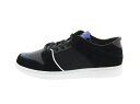 【特価】NIKE SB ZOOM DUN...