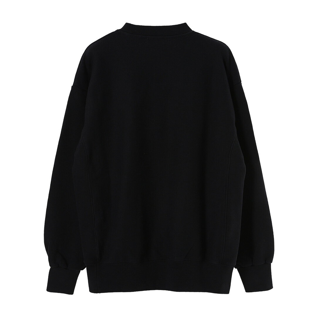 ARIES Premium Temple Sweatshirt - (FTAR20000)【アリーズ プレミアムテンプルスウェットシャツ】正規取扱店 ユニセックス トップス トレーナー スウェット 長袖 デザイン カワイイ 新作 22FW 秋冬 カジュアル ストリート シンプル トレンド M~L ブラック