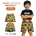 『当日発送』 UNDEL キッズ 水陸両用パンツ ショートパンツ 男の子 サーフパンツ 恐竜 オリジナル柄 子供用 ハーフパンツ 水遊び 海 プール 恐竜柄ショーツ 小学生 通学 お着替えパンツ 速乾 UVカット UPF50+