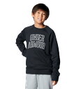 公式 アンダーアーマー UNDER ARMOUR UA UAライバルフリース カレッジ クルー(トレーニング/BOYS) 6000886